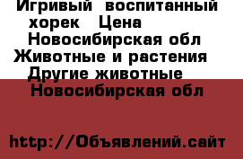Игривый, воспитанный хорек › Цена ­ 1 500 - Новосибирская обл. Животные и растения » Другие животные   . Новосибирская обл.